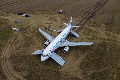 Предложен вариант эвакуации севшего в поле самолета «Уральских авиалиний»
