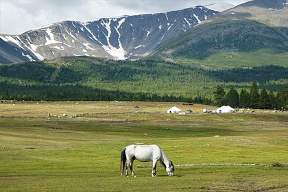 Соседствующую с Россией страну признали лучшей для путешествий в 2024 году