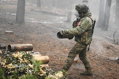 Российские войска за неделю нанесли 30 групповых ударов в зоне СВО