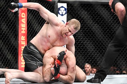 Россияне Павлович и Волков проведут бой в UFC