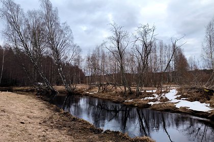 Загрязнение реки в российском регионе заинтересовало следователей
