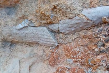 Неожиданный артефакт возрастом 145 миллионов лет нашли в Крыму