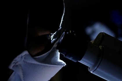 Объяснено появление гигантских глаз у морских червей