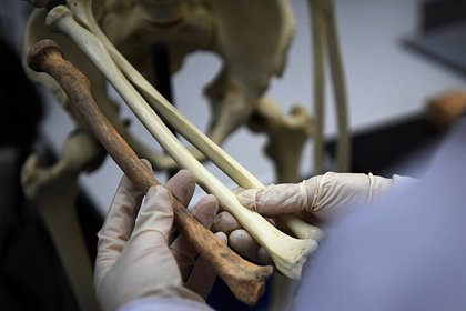 Маленький мальчик нашел человеческие кости на пляже и обрадовался