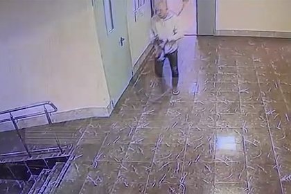 В Подмосковье собаку сбила машина после принудительного «выселения» арендодателем жилья