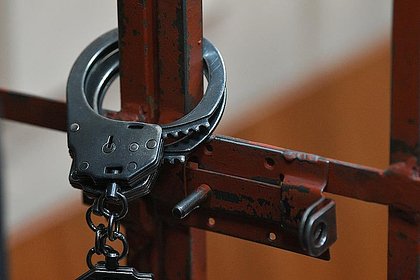 Россиянина приговорили к 22 годам колонии за совращение малолетних