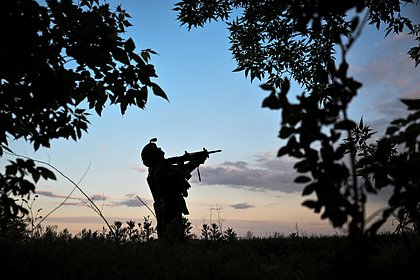 Военкор сообщил о заблокированных в лесу под Брянском украинских диверсантах