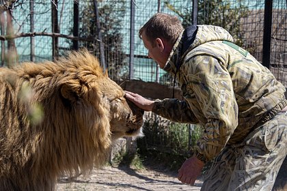 «Общался с хищниками как с маленькими детьми». На директора крымского парка «Тайган» напали его питомцы