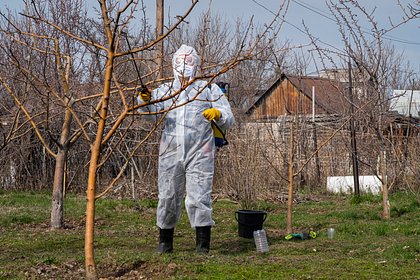 Дачников предупредили об одном виде штрафов
