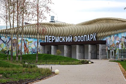 Назван лучший зоопарк России