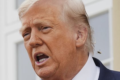 Украина всегда была буфером. Как Трамп прокомментировал переговоры с Зеленским и что он думает о его встрече с Путиным?