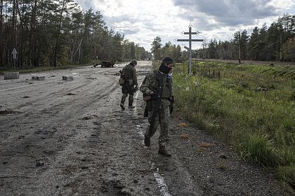 Взломавшие базу данных ВСУ российские хакеры раскрыли потери украинской армии