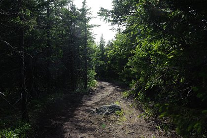 Появилась новая деталь о пропавшем в тайге Усольцеве