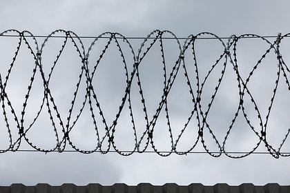 Приговоренного к 11 тысячам лет тюрьмы основателя криптобиржи нашли мертвым в тюрьме