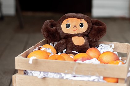 Израиль отреагировал на споры о еврейском происхождении Чебурашки