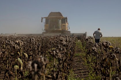 Украинские фермеры пожаловались на катастрофическую ситуацию из-за мобилизации