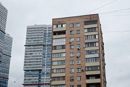 Новогодняя елка в подъезде дома оскорбила москвича