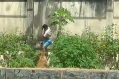 Львица растерзала посетителя зоопарка