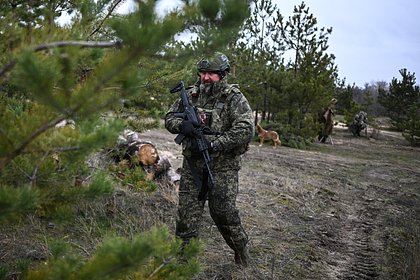 Стало известно о сложной ситуации для ВСУ в районе Северска