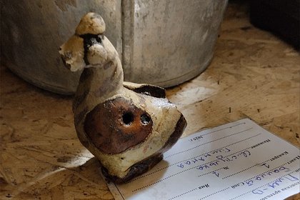 Россияне нашли игрушку в виде странной зверюшки и озадачились