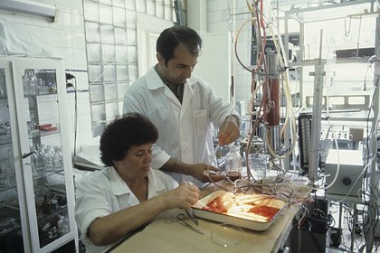 Раскрыта роль разведки в борьбе с «чумой ХХ века» в СССР