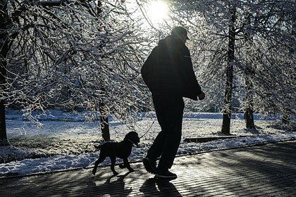 Москвичам пообещали оттепели в декабре