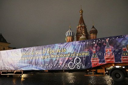 Главную новогоднюю ель привезли в Кремль