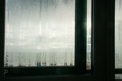 В Подмосковье девушку выкинули из окна