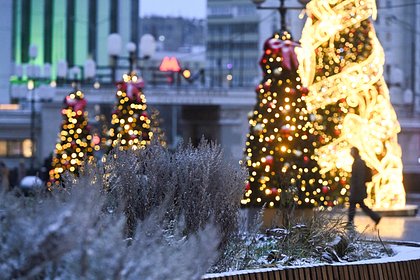 Синоптик ответила на вопрос о второй осени в декабре в Москве