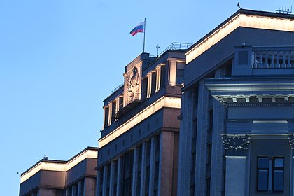 Российского депутата освободят от должности после родов жены на другом континенте