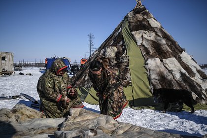 Тревел-блогерша описала жизнь в стойбище оленеводов словами «минус 30 — это тепло»