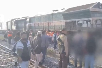 Пассажирский поезд сбил стадо слонов в Индии