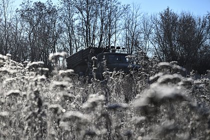 Эрдоган анонсировал переговоры с Трампом по Украине