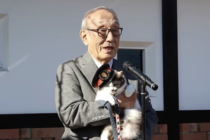 Третью кошку назначили директором железнодорожной станции