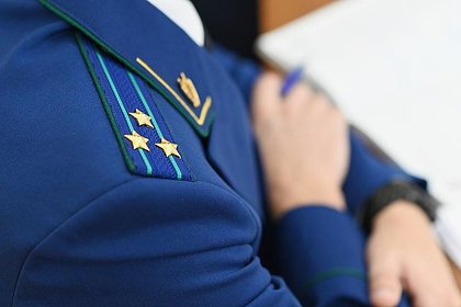 В российском селе из-за влаги и помета рухнула крыша здания