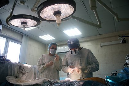 Девочка спасла жизнь больной матери благодаря звонку на прямую линию с Путиным