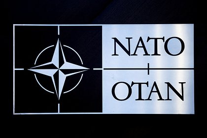 Стало известно о панике Рютте и членов НАТО из-за Трампа