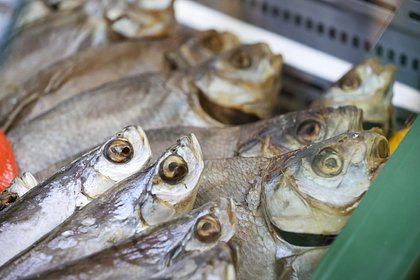 Российская семья нашла в упаковке покупной рыбы шарики ртути