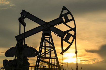 В России оценили последствия запрета ЕС на импорт нефти из страны