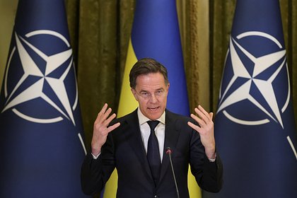 Рютте сделал признание о закупках оружия для Украины