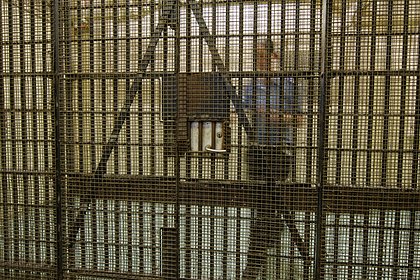 Тюремщица решила завести ребенка от заключенного и занималась с ним сексом каждый день