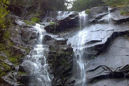 Туристы прошли по следу из крови и спасли раненую женщину