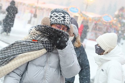 Москве пообещали метель с гололедицей