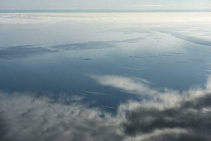 В Каспийском море найдено тело рекордсмена Гиннеса