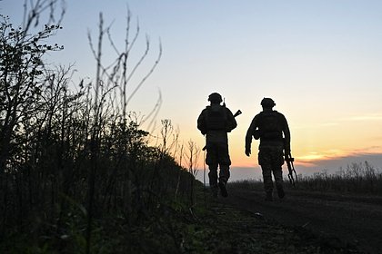 В Бразилии оценили потери наемников на Украине