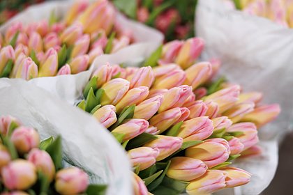 Россиян предостерегли от безудержного веселья 8 Марта