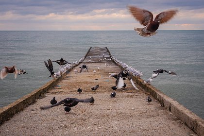 Россиян попросили покинуть пляжи Сочи в Международный женский день
