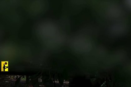 Ливан опубликовал кадры обстрела севера Палестины