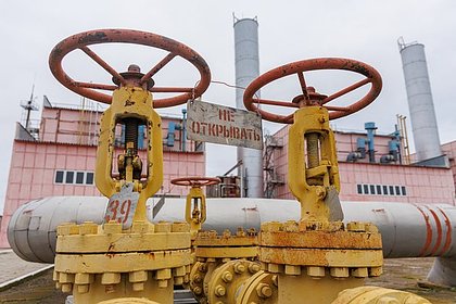 В Сербии рассказали об охране газопровода с газом из России