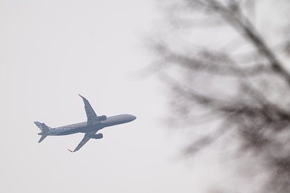 Российские депутаты приземлились в Нью-Йорке